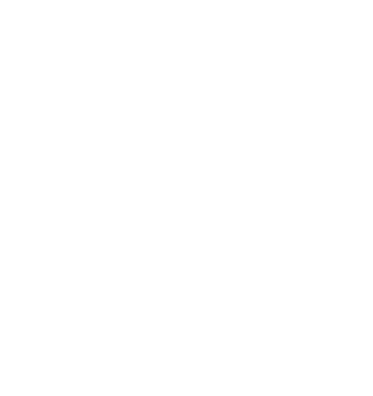 Arif Reza